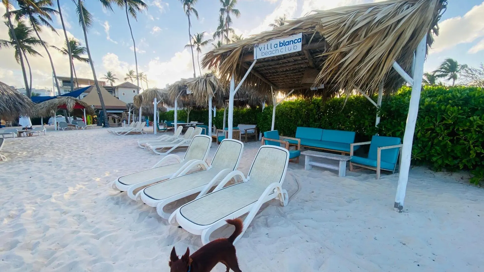 Bavaro Punta Cana Los Corales Beach - Ducassi - Sol Caribe